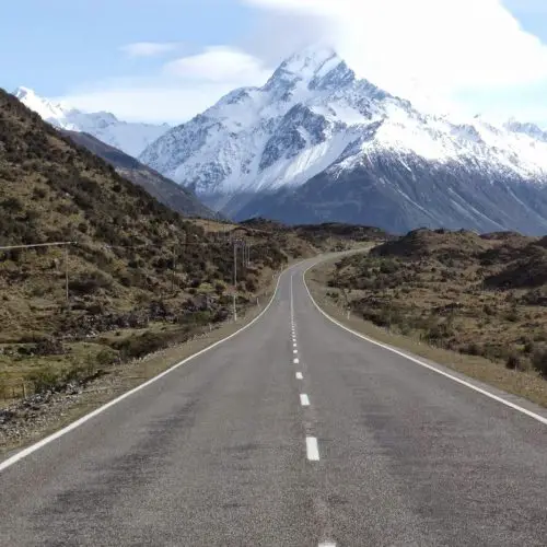 7 Reasons Why Stray New Zealand Changed My Life