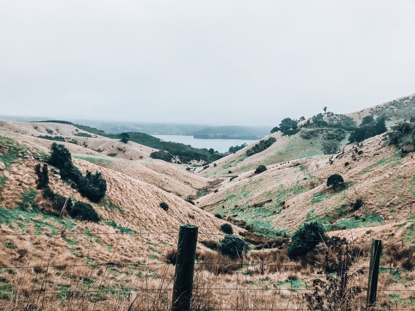 Otago Peninsula