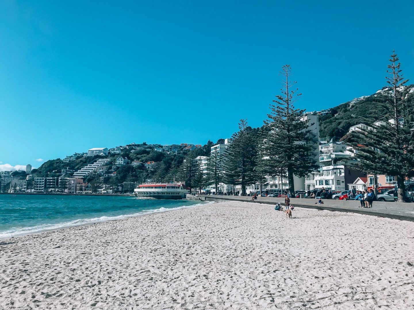 Oriental Bay Beach