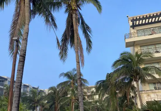 All Inclusive Cancun Resort