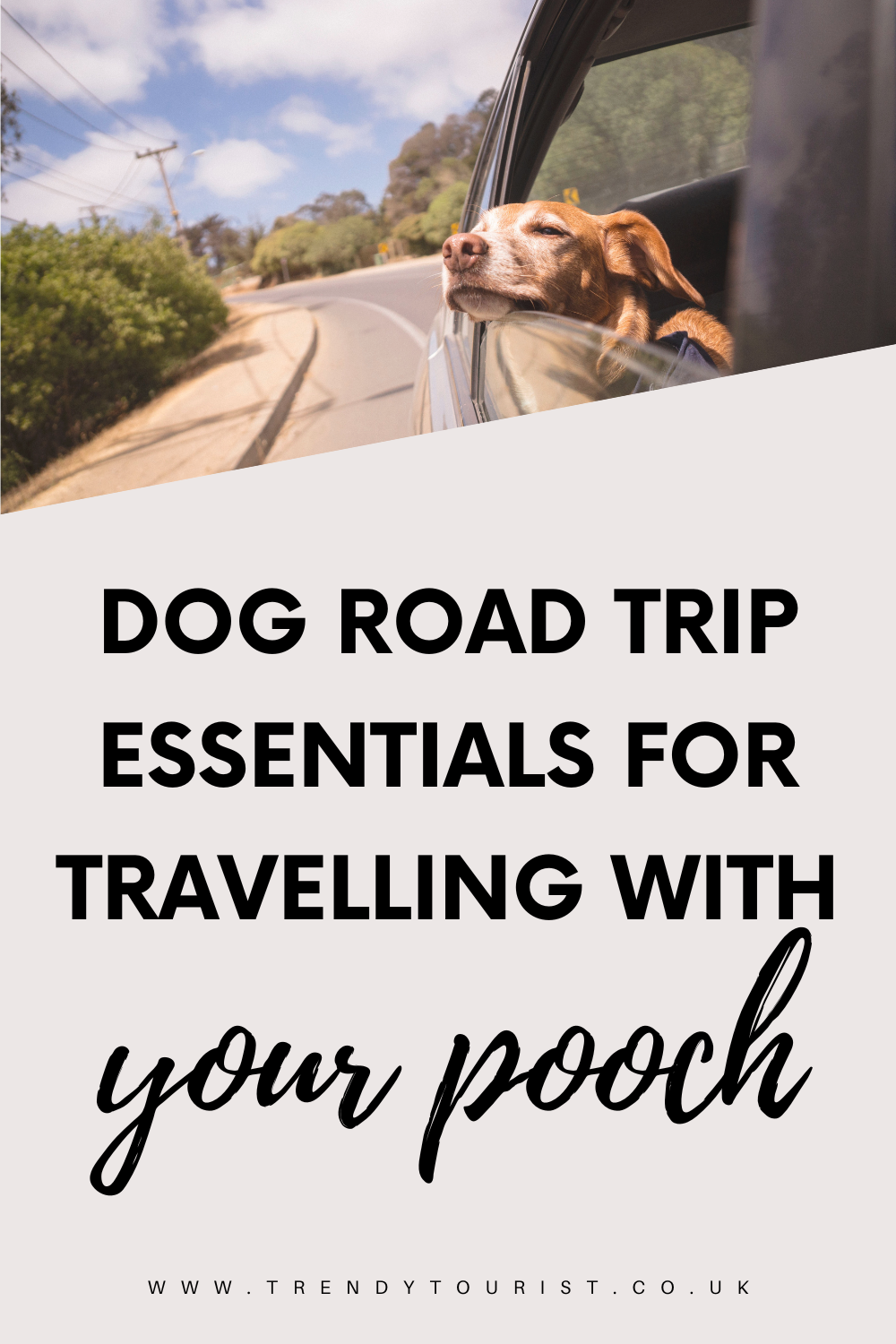 Dog Road Trip Essentials for Travelling With Your Pooch